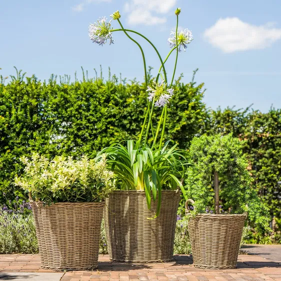 Ivyline Lined Natural Planter Basket - Medium - image 1