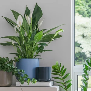 Ivyline Lisbon Powder Blue Planter Ø11cm - image 2