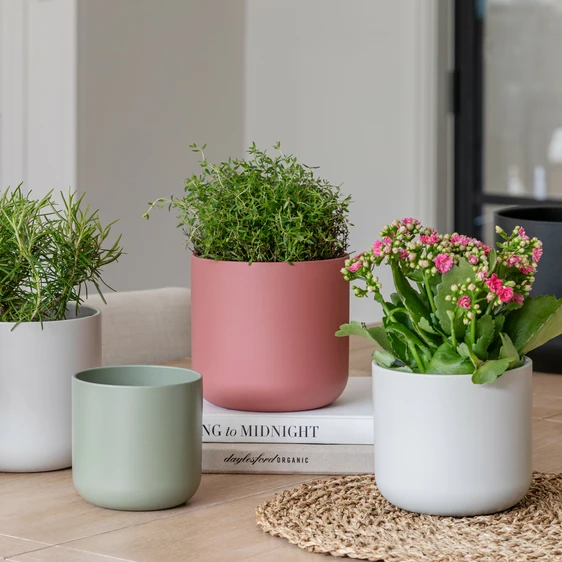 Ivyline Lisbon Rose Pink Planter Ø11cm - image 2