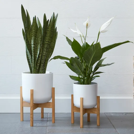 Ivyline Lisbon White Pot and Stand - Large - image 1