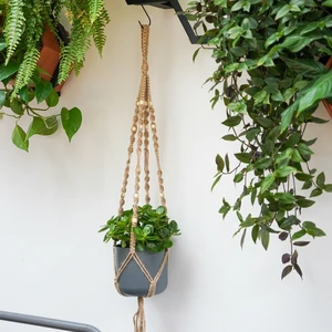 Ivyline Macrame Pot Hanger - image 1