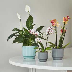 Ivyline Mia Aqua Planter - Small - image 3