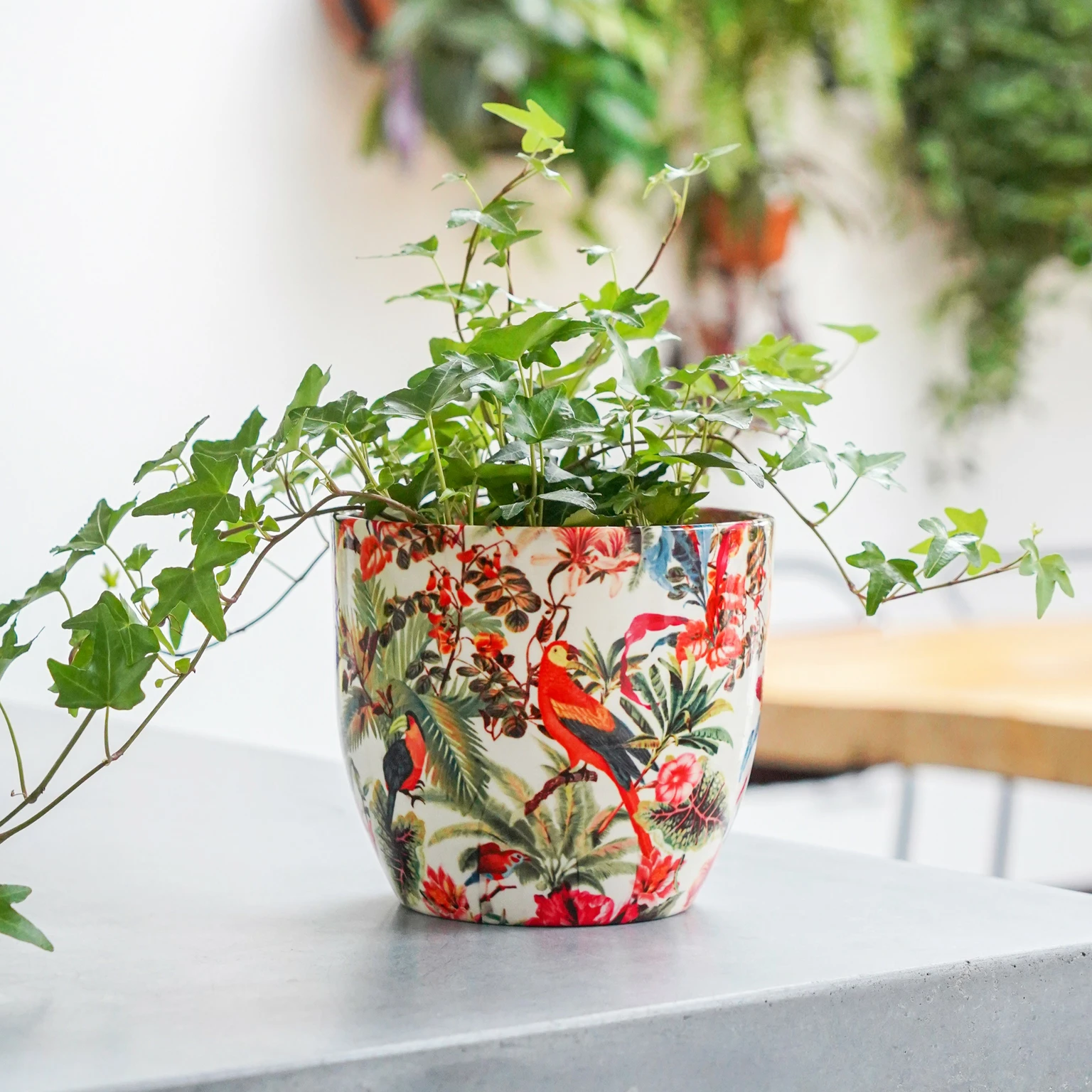 Ivyline Artstone Vaso da Fiori, per Piante Ella, Resistente al Gelo e