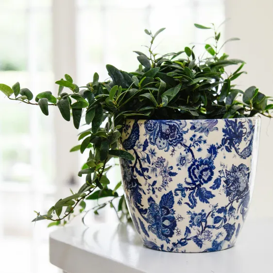 Ivyline Monza Vintage Blue Planter - Small - image 1