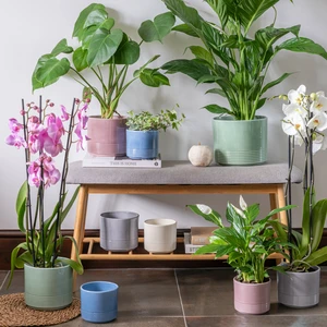 Ivyline Munich Grey Planter Ø12cm - image 2
