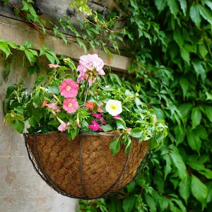 Ivyline Netted Hanging  Zinc Basket Planter