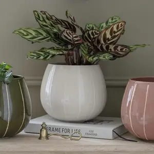 Ivyline Nova Wax Relief Planter - Cream