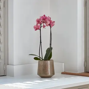 Ivyline Opulent Gold Planter - image 1