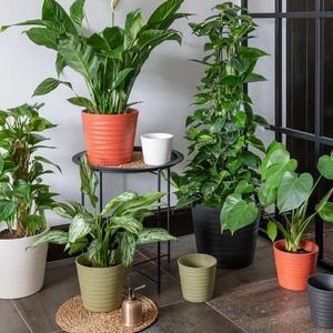 Ivyline Oslo Anthracite Planter Ø13cm - image 2