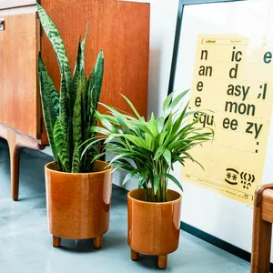 Ivyline Pisa Mustard Planter - Large - image 5