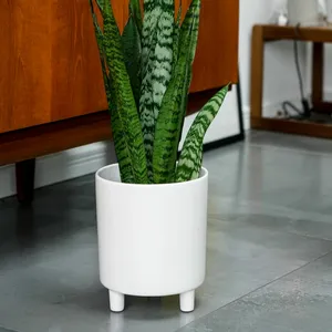 Ivyline Pisa Planter - White - image 1