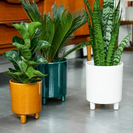 Ivyline Pisa Planter - White - image 2