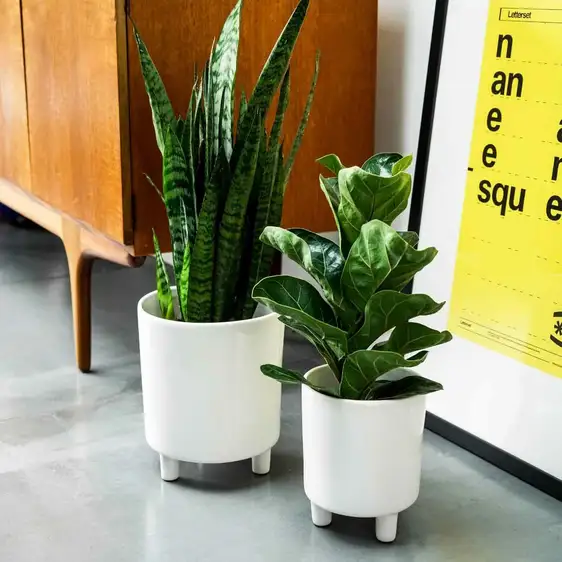 Ivyline Pisa White Planter - Medium - image 2