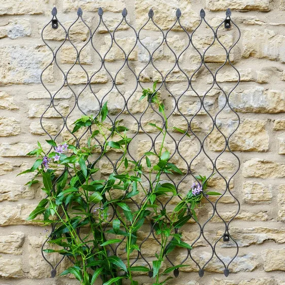 Ivyline Plant Trellis Zinc - Medium - image 3