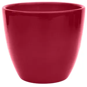 Ivyline Bordeaux Poinsettia Planter 20cm - image 2