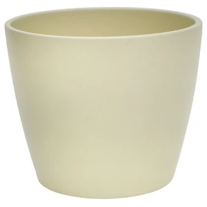 Ivyline Cream Poinsettia Planter 14cm