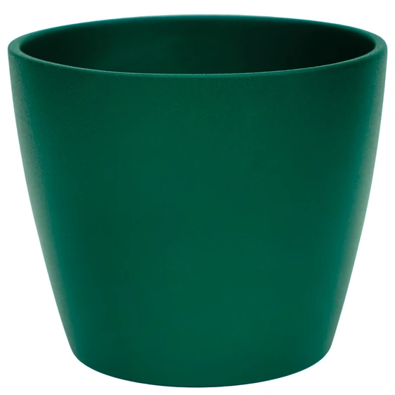 Ivyline Emerald Poinsettia Planter 12cm