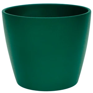 Ivyline Emerald Poinsettia Planter 12cm