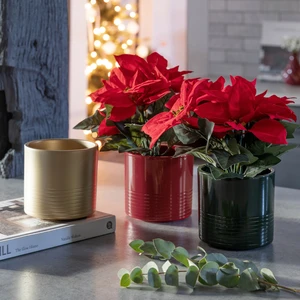 Ivyline Poinsettia Straight Sided Planter - Pearl Gold - image 1