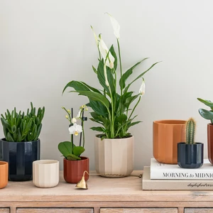 Ivyline Positano Ivory Geo Planter - Small - image 2