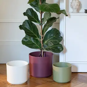 Ivyline Prague Rose Planter Ø13cm - image 3