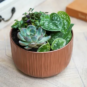Ivyline Premium Planter Bowl - Copper - image 1