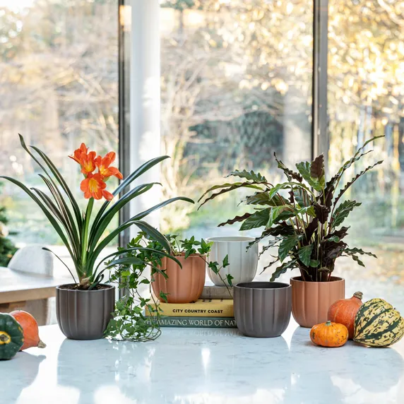 Ivyline Pumpkin Ridged Planter - Bronze - image 1