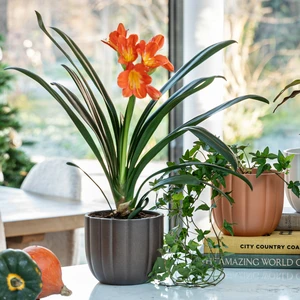 Ivyline Pumpkin Ridged Planter - Bronze - image 2