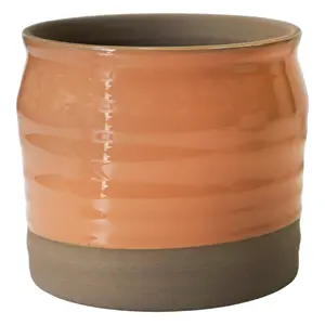 Ivyline Puro Lipped Peach Ripple Planter