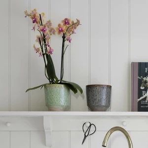 Ivyline Reactive Glaze Orchid Planter - Sage - image 2