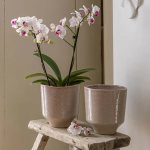 Ivyline Reactive Glaze Orchid Planter - Rose - image 2