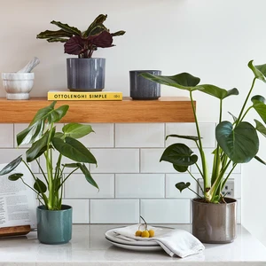 Ivyline Remi Green Reactive Glaze Planter - Small - image 3