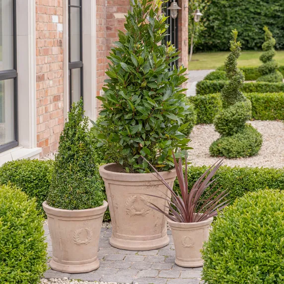 Ivyline Rhodes Tapered Planter 36cm - image 2