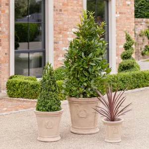 Ivyline Rhodes Tapered Planter 36cm - image 3