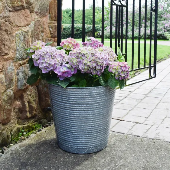 Ivyline Ribbed Galvanised Planter - image 1