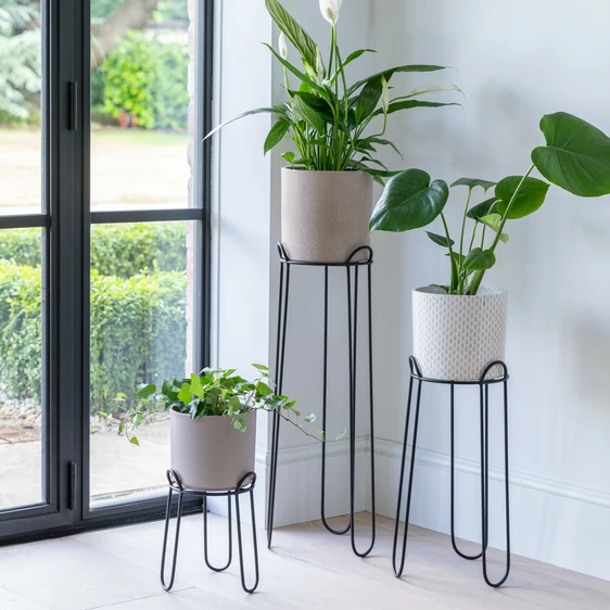 Ivyline Saluzzo Black Plant Stand - Medium - image 1