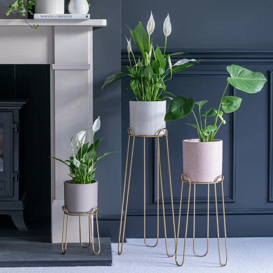 Ivyline Saluzzo Gold Plant Stand - Medium - image 1