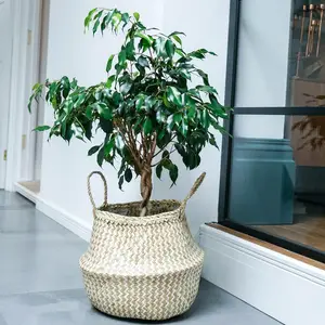 Ivyline Seagrass Chevron White Lined Basket