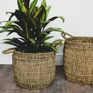 Ivyline Seagrass Lined Baskets Set of Two - image 1