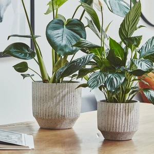 Ivyline Solento White Planter - Medium - image 3