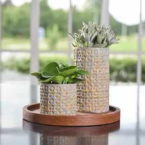 Ivyline Terni Mustard Planter Ø7cm - image 2