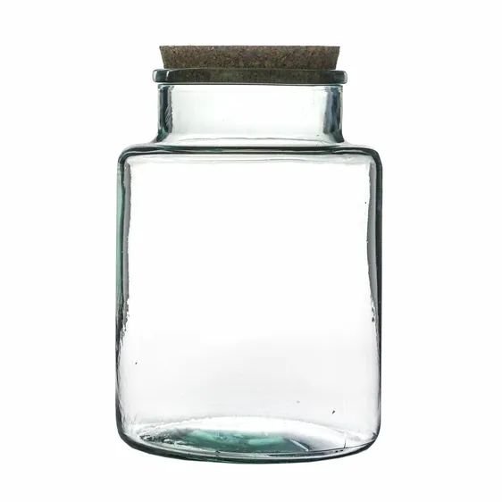 Ivyline Terrarium Jar Kit - image 2