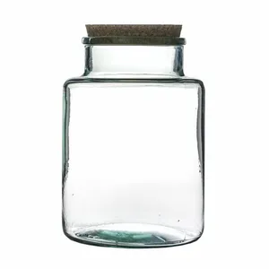 Ivyline Terrarium Jar Kit - image 2