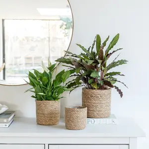 Ivyline Theo Natural Basket Planter 13cm
