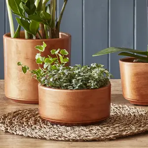 Ivyline Tivoli Copper Bowl Planter - image 1