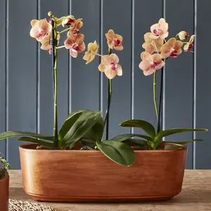 Ivyline Tivoli Copper Long Planter - image 1