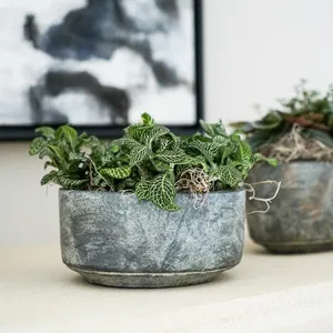 Ivyline Tivoli Earth Bowl Planter - image 2