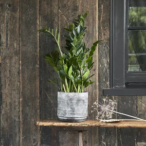 Ivyline Tivoli Earth Planter - Small - image 3