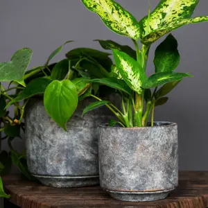 Ivyline Tivoli Earth Planter 26cm - image 3