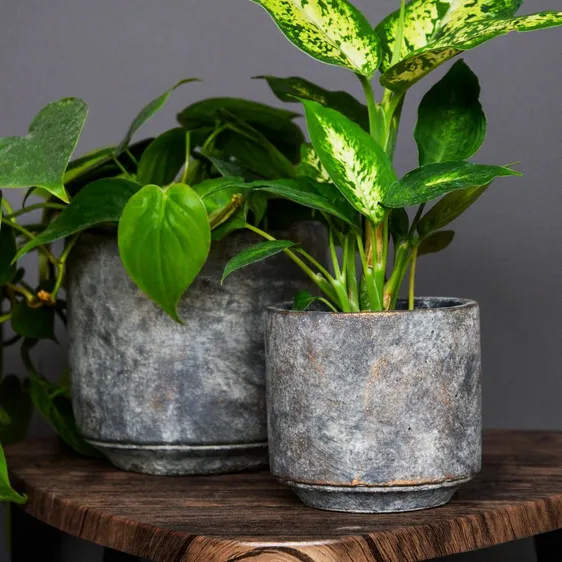 Ivyline Tivoli Large Planter - image 2